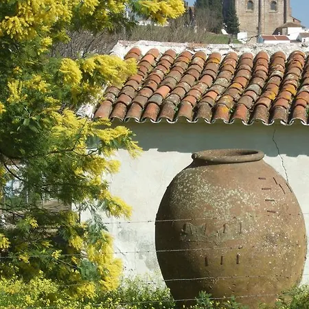 La Nueva Andalusi