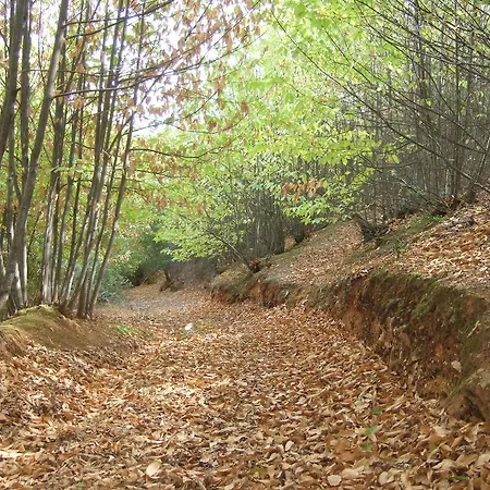 La Nueva Andalusi Cazalla de la Sierra